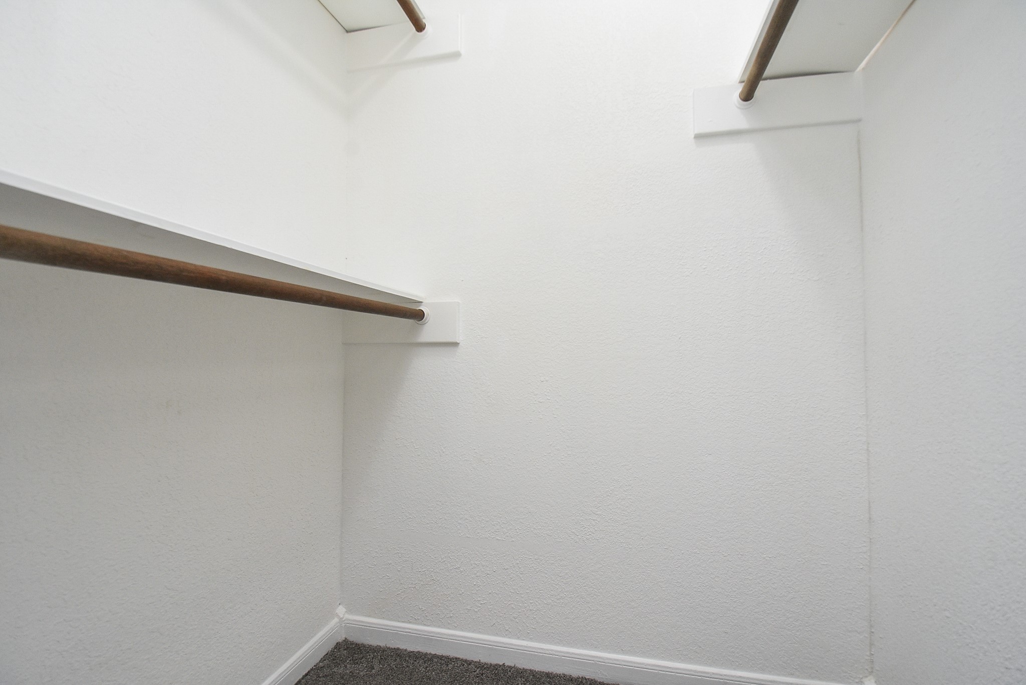 15814 Winding Moss Drive Property Photo 39