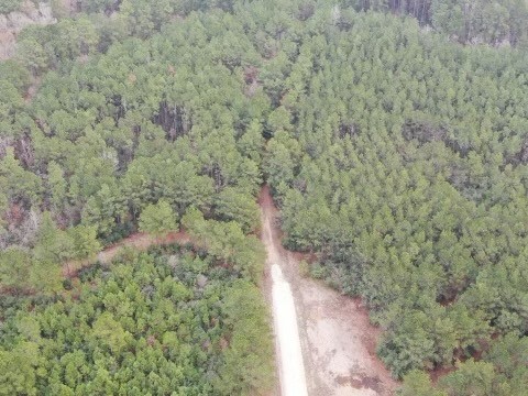 17.5 Bo Brown Property Photo 3