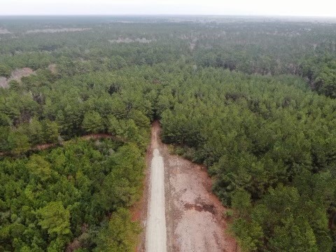 17.5 Bo Brown Property Photo 4