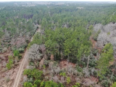 17.5 Bo Brown Property Photo 5