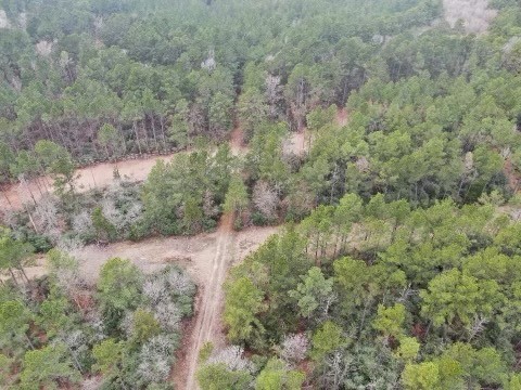 17.5 Bo Brown Property Photo 6
