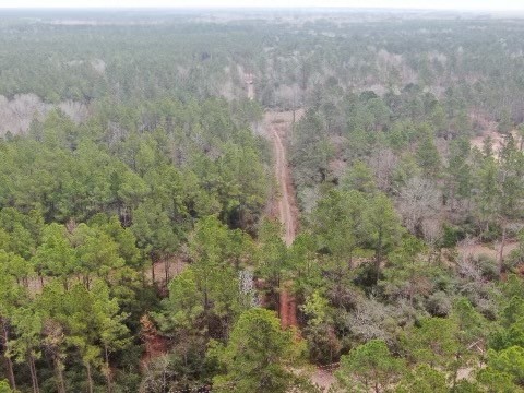 17.5 Bo Brown Property Photo 7