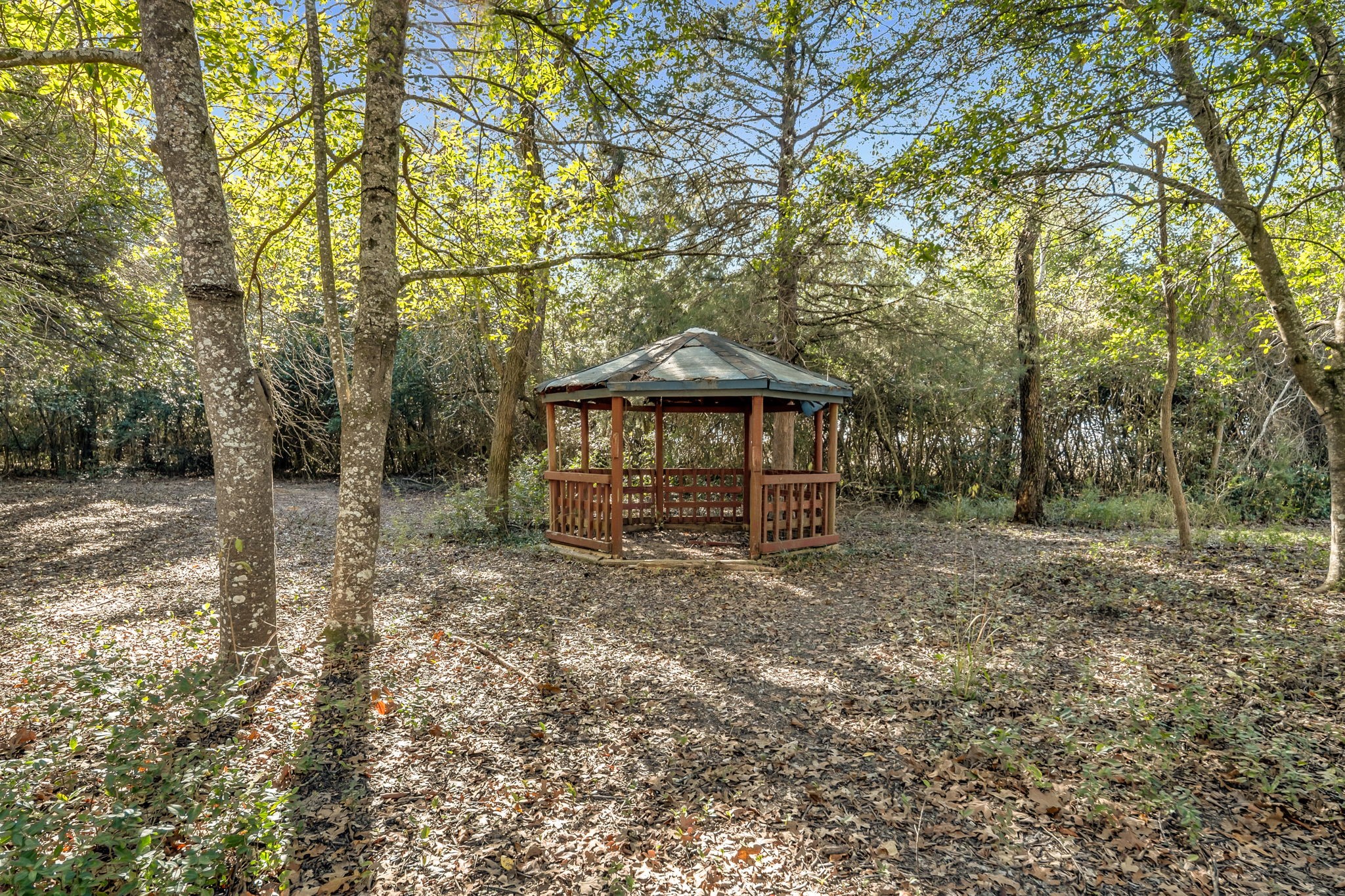 6 W Trail Lane Property Photo 19