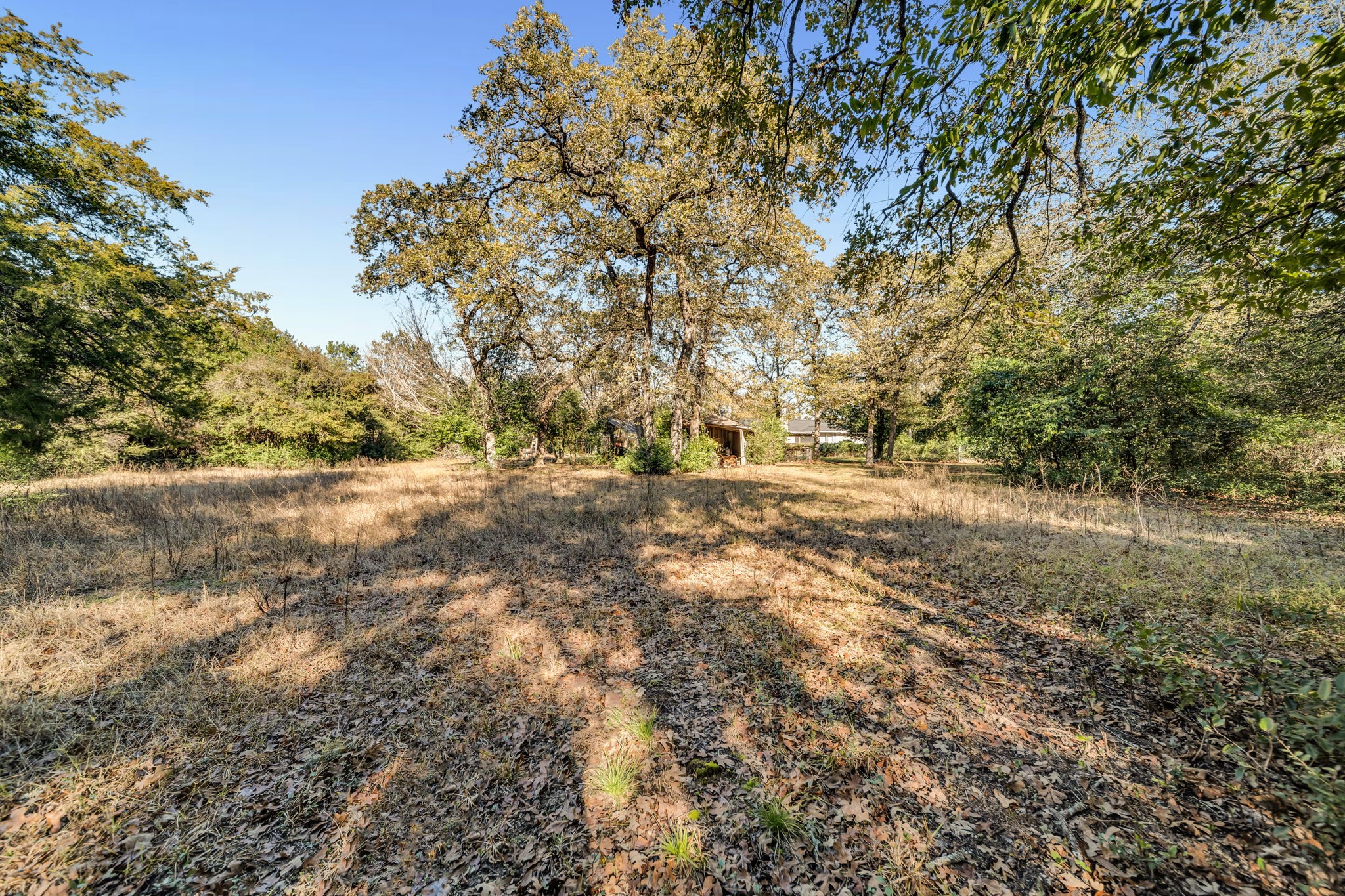 6 W Trail Lane Property Photo 20