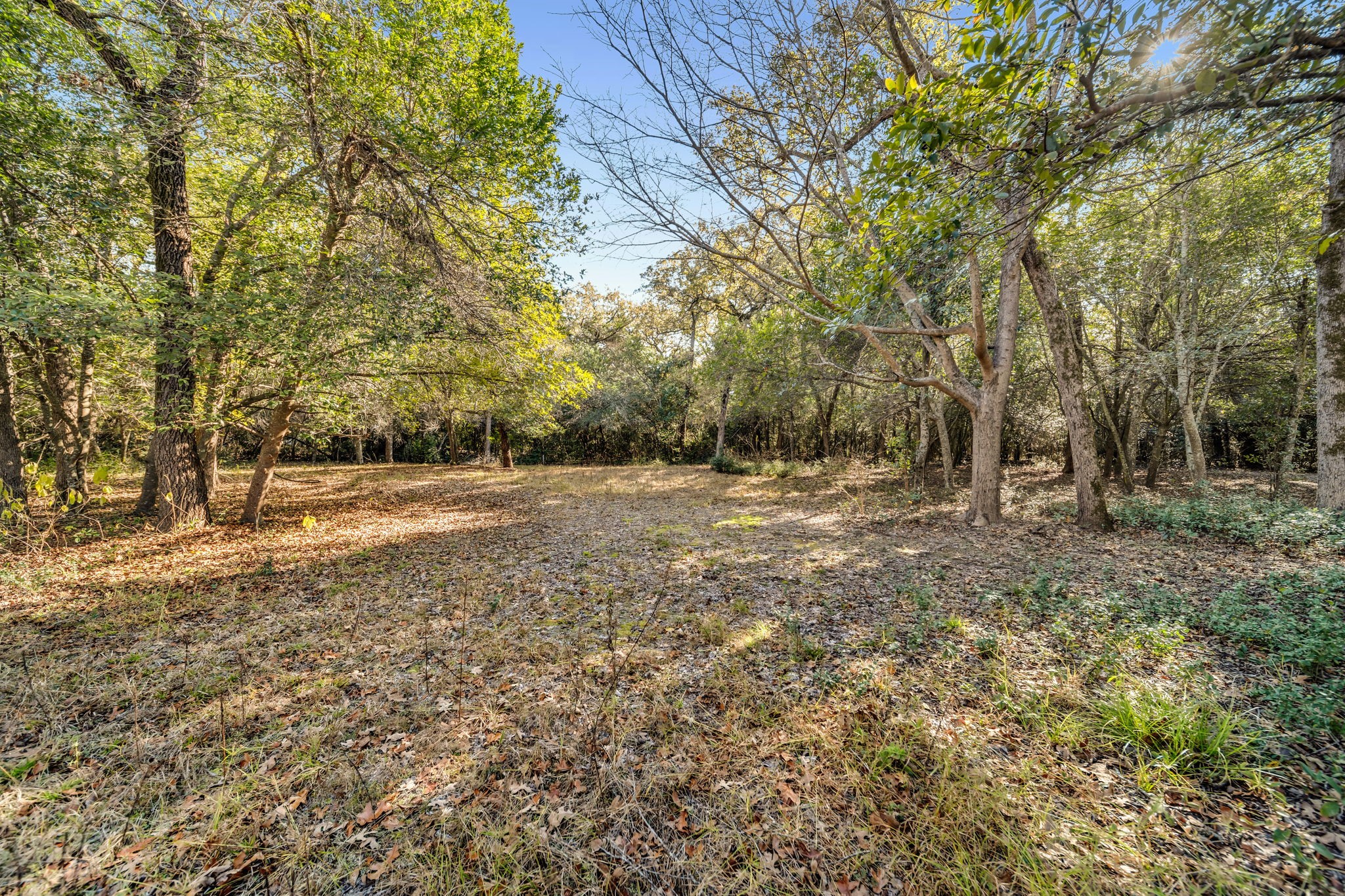 6 W Trail Lane Property Photo 21