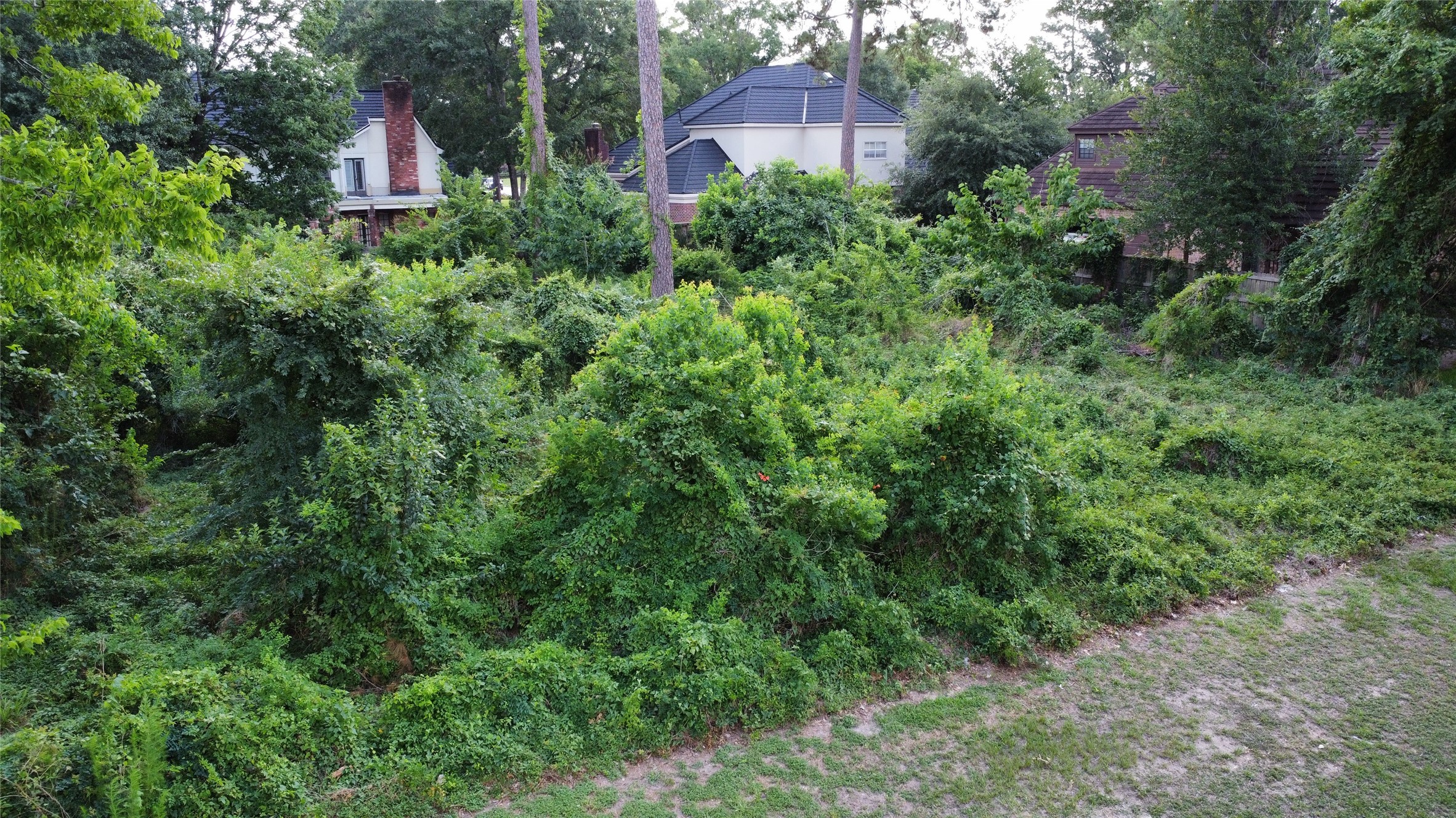 29&30a Cedar Woods Place Property Photo 5