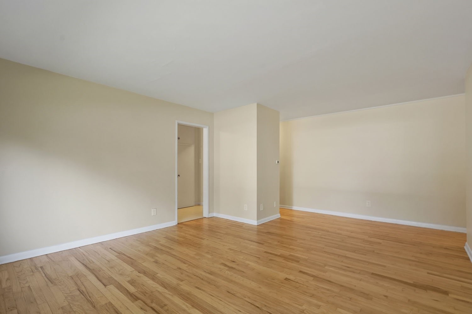 1240 Cedar Ave Property Photo 6