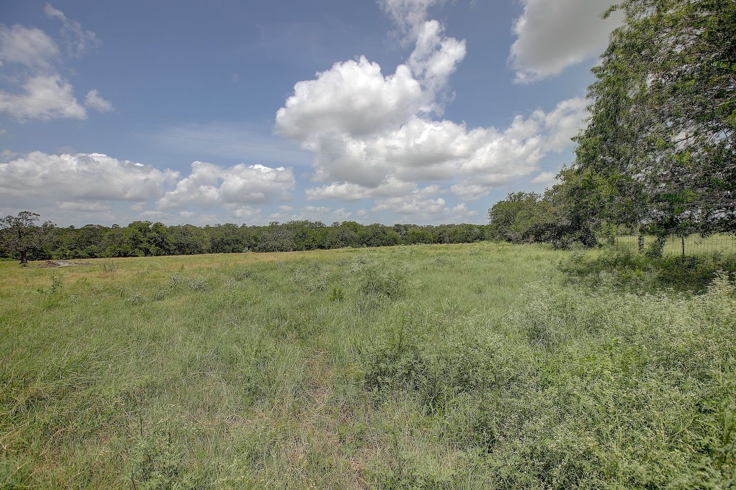 4838 Rocky Creek Road Property Photo 29
