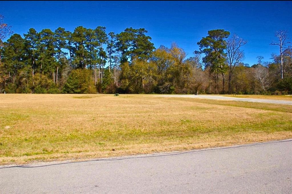 1 Wild Forest Court Property Photo 1