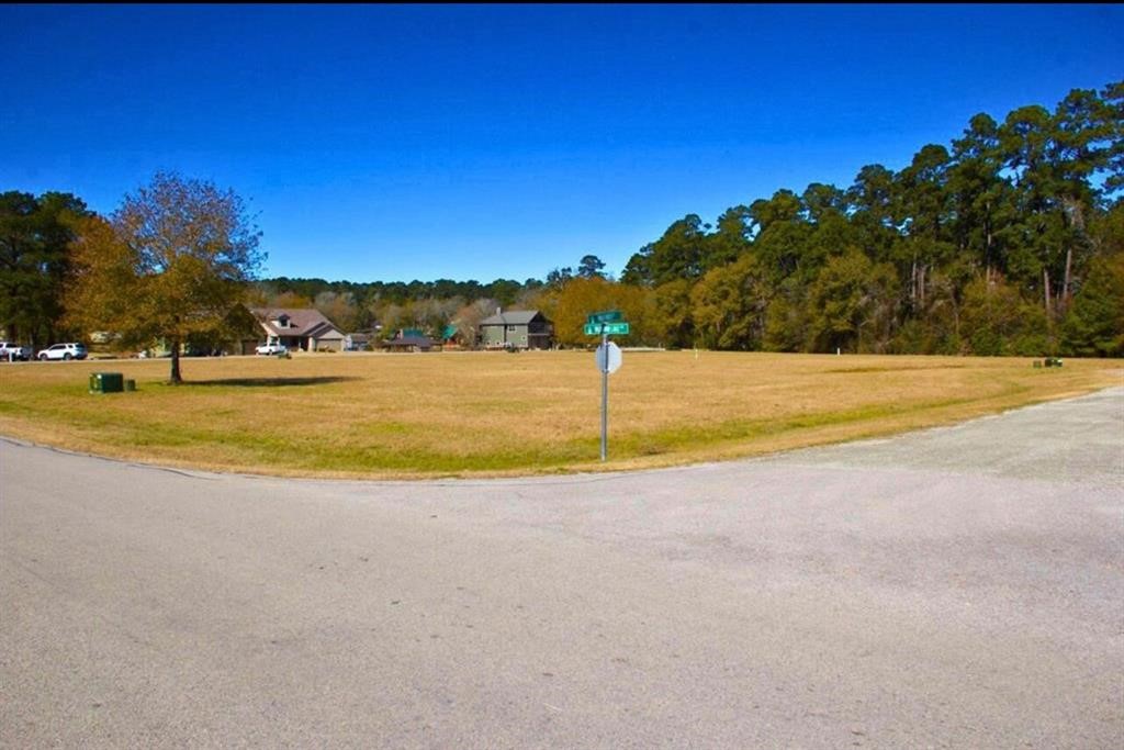 1 Wild Forest Court Property Photo 2