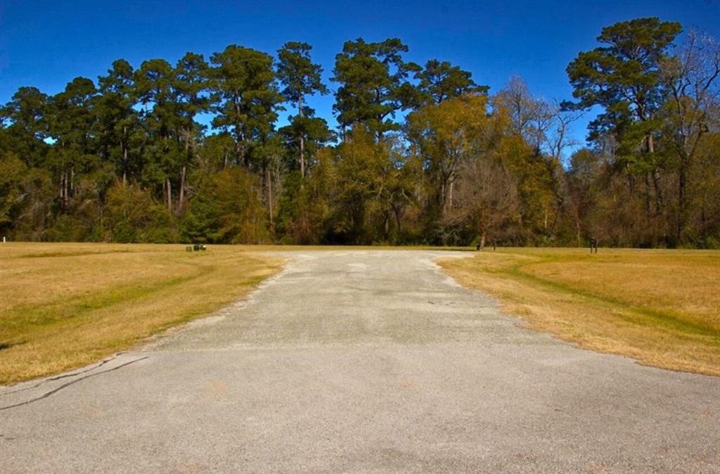 1 Wild Forest Court Property Photo 3