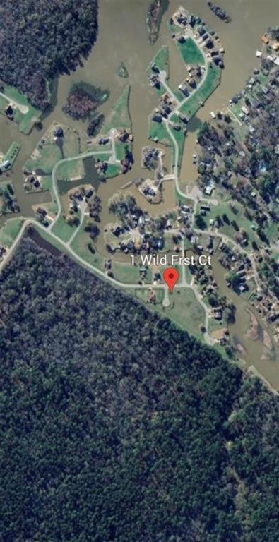 1 Wild Forest Court Property Photo 5