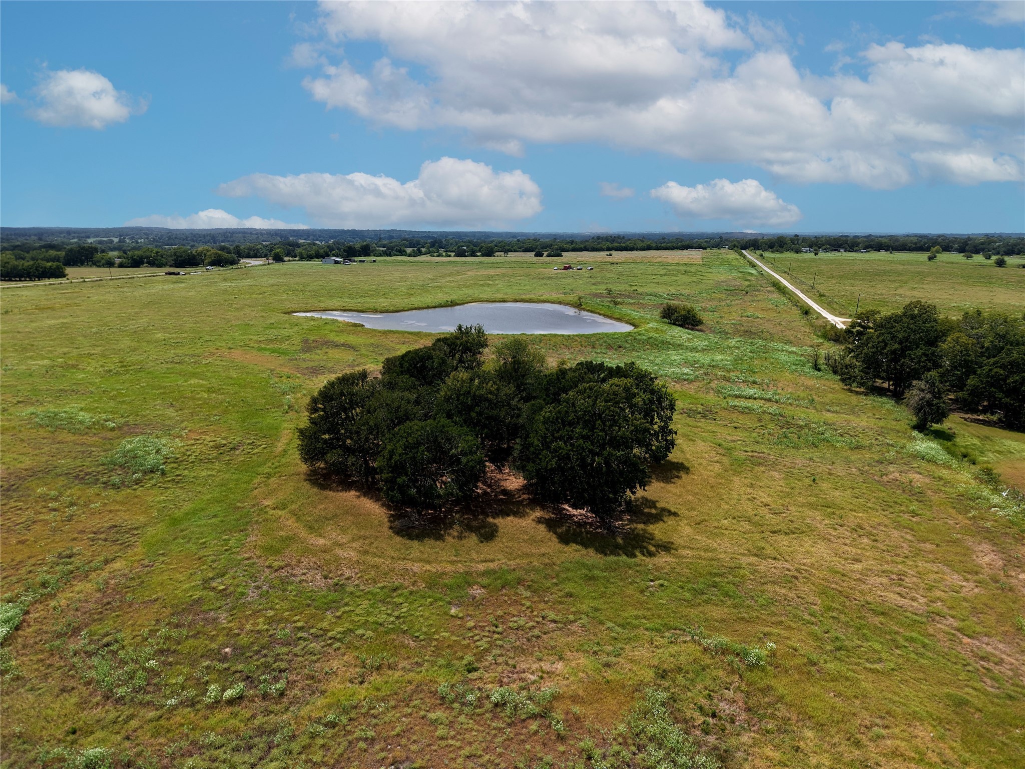 Tract 4 Fm 2819 Property Photo 2