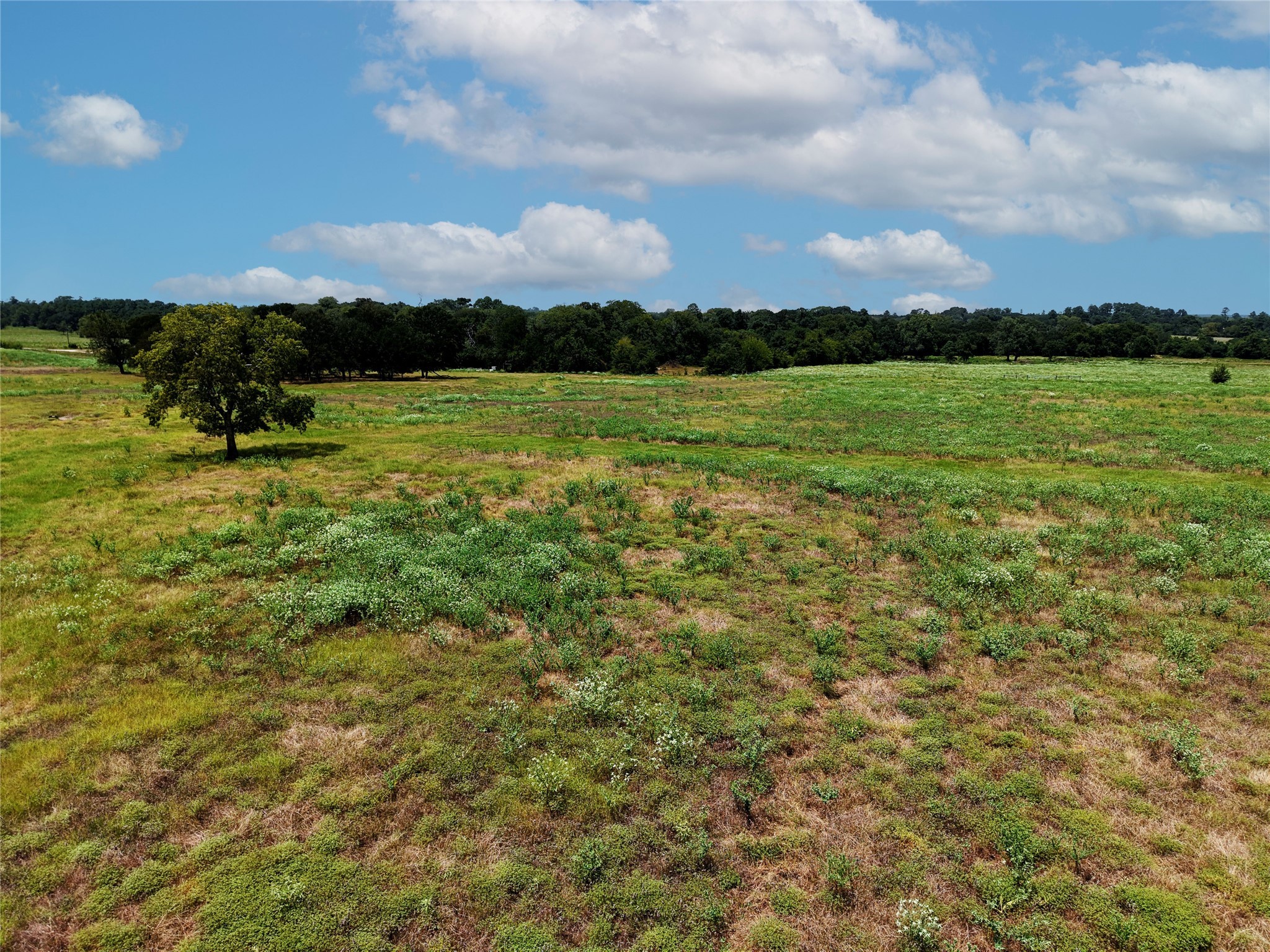 Tract 4 Fm 2819 Property Photo 4