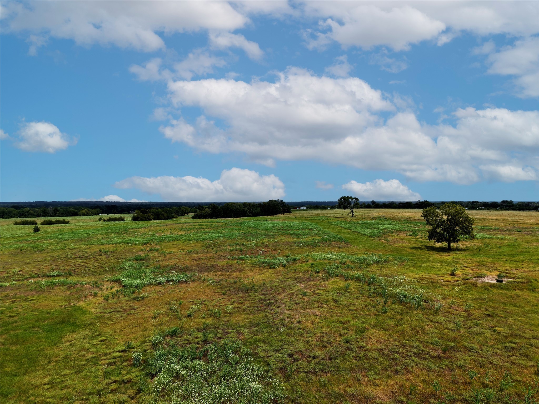 Tract 4 Fm 2819 Property Photo 8