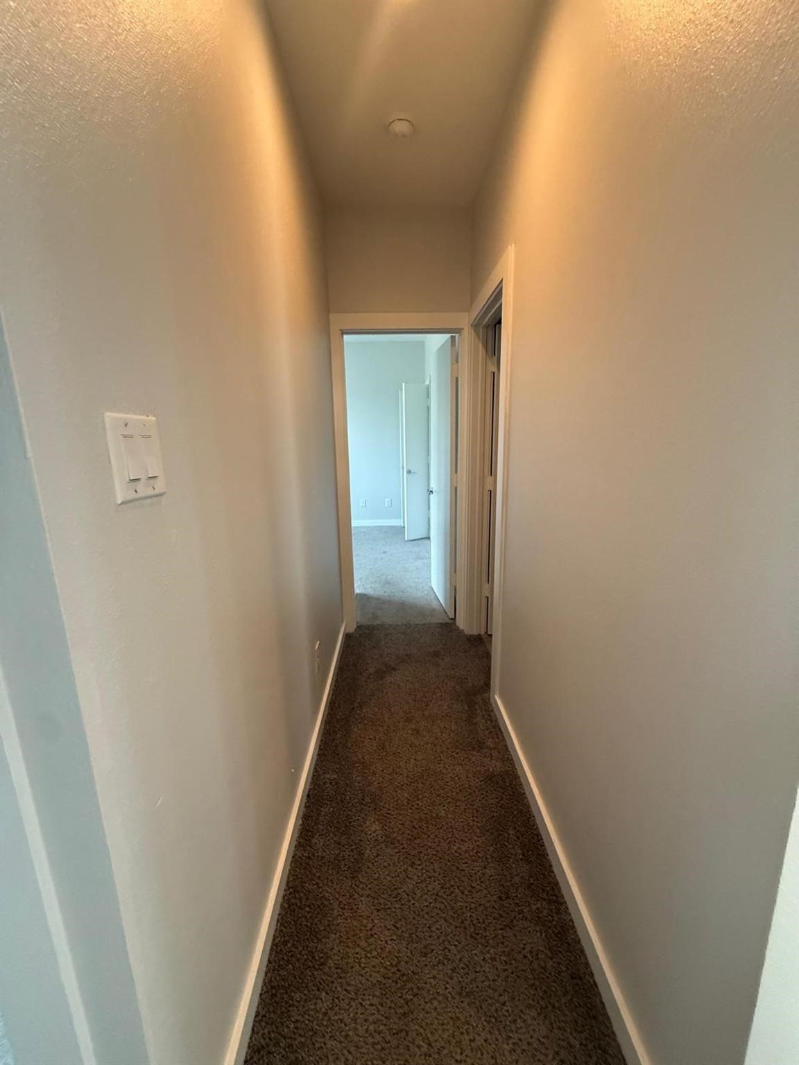 4923 Higgins St Street Property Photo 19