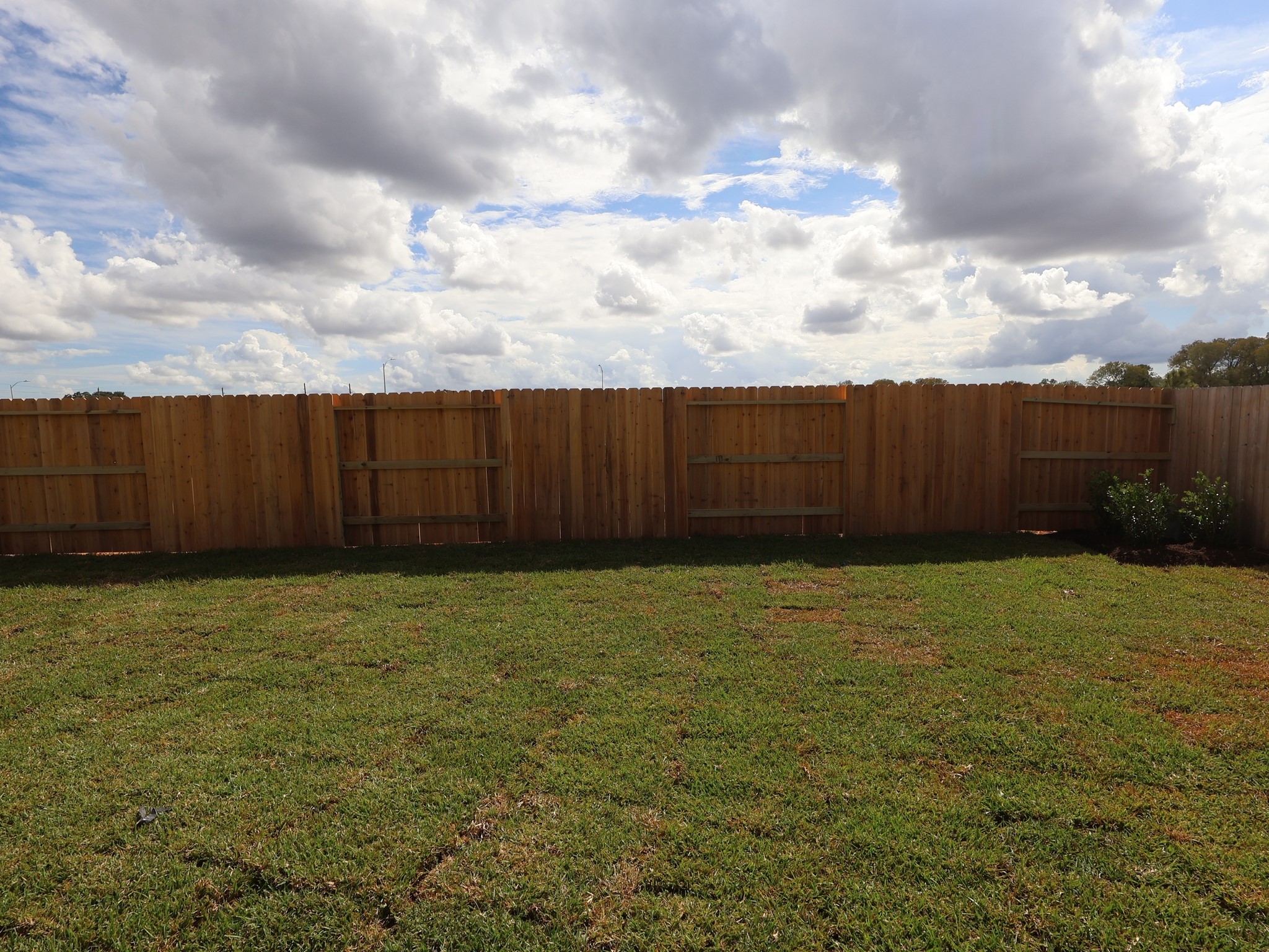1812 Sleeping Hills Drive Property Photo 25