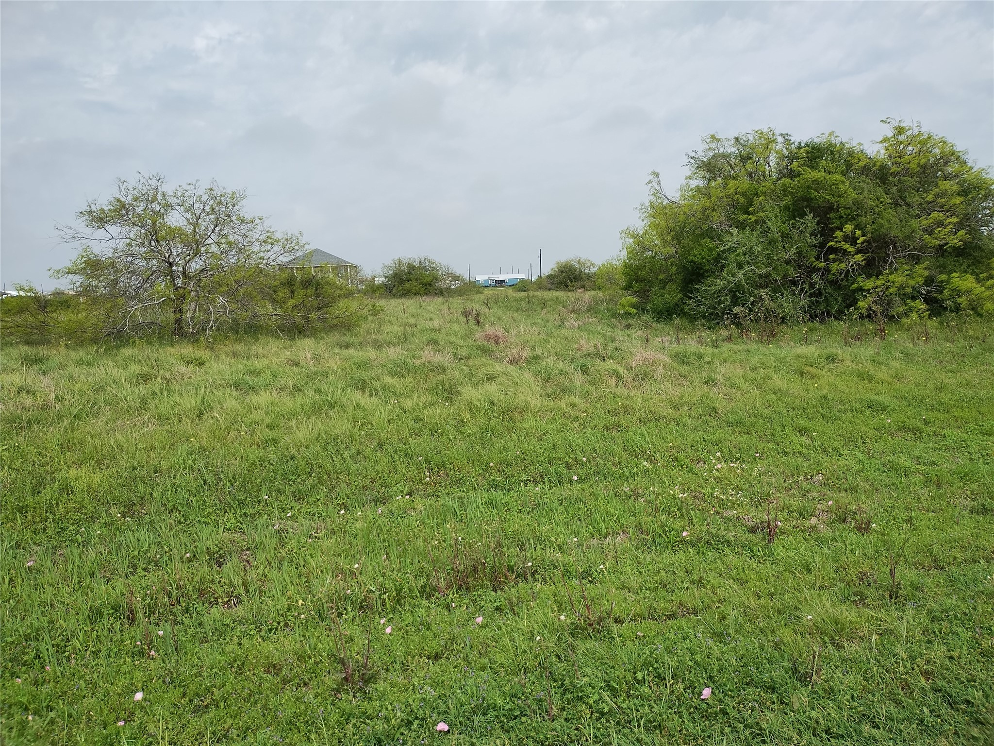 403 Piranha Property Photo 1