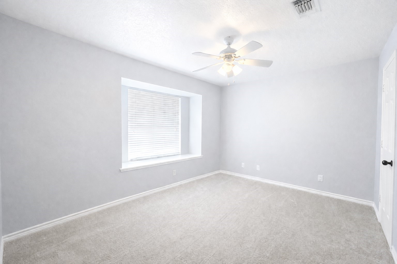 305 Scenic Brook Street Property Photo 18