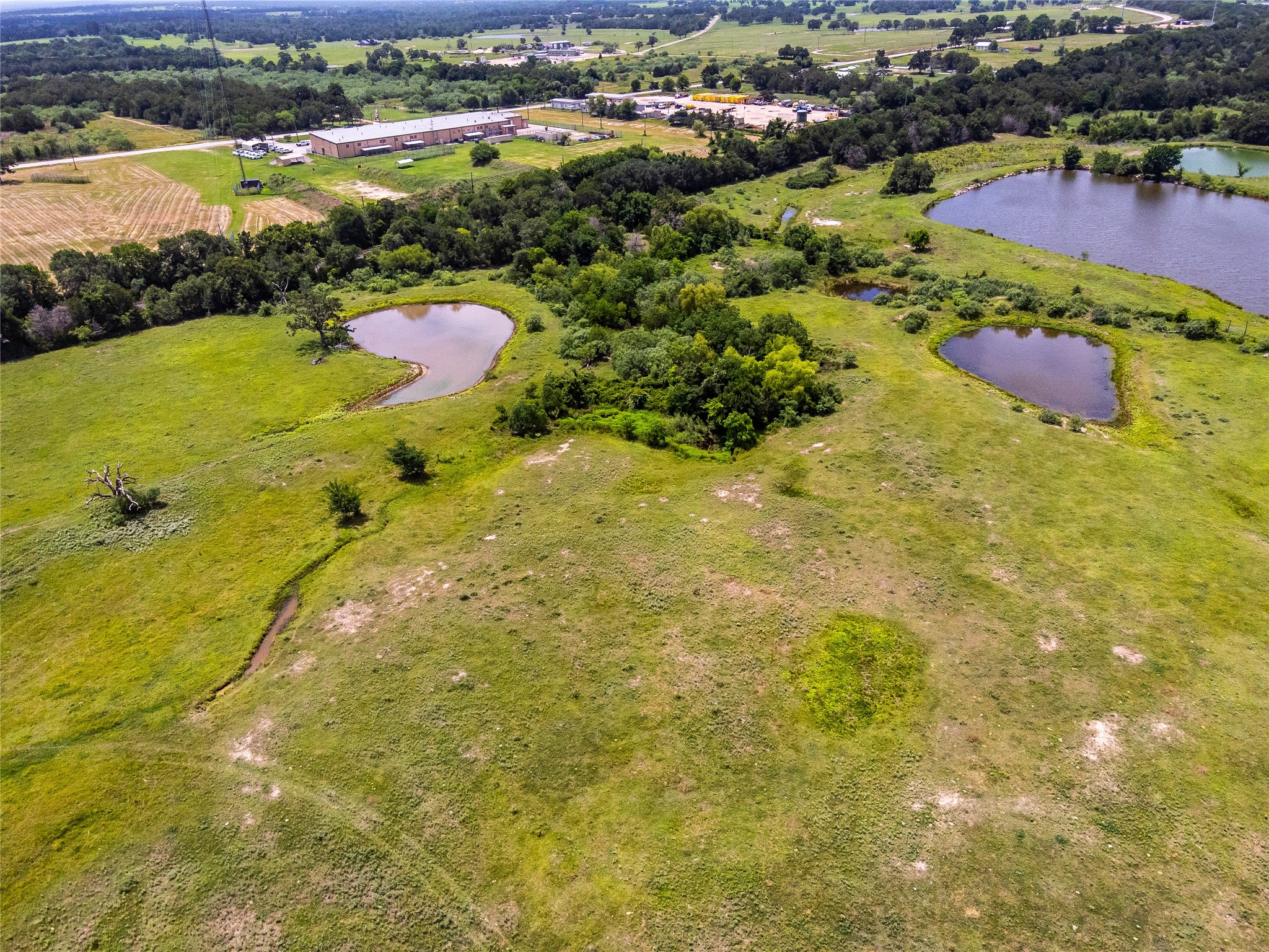 59.51 Acres Cr 208 Property Photo 6