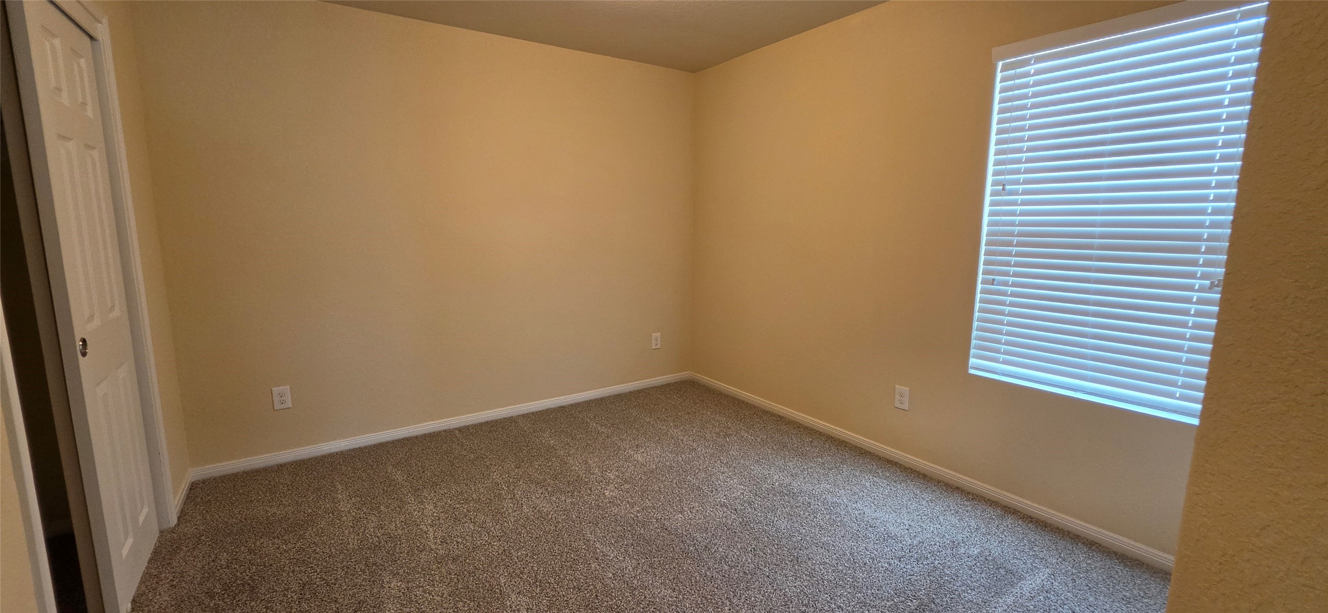 2496 Elm Crossing Trail Property Photo 20