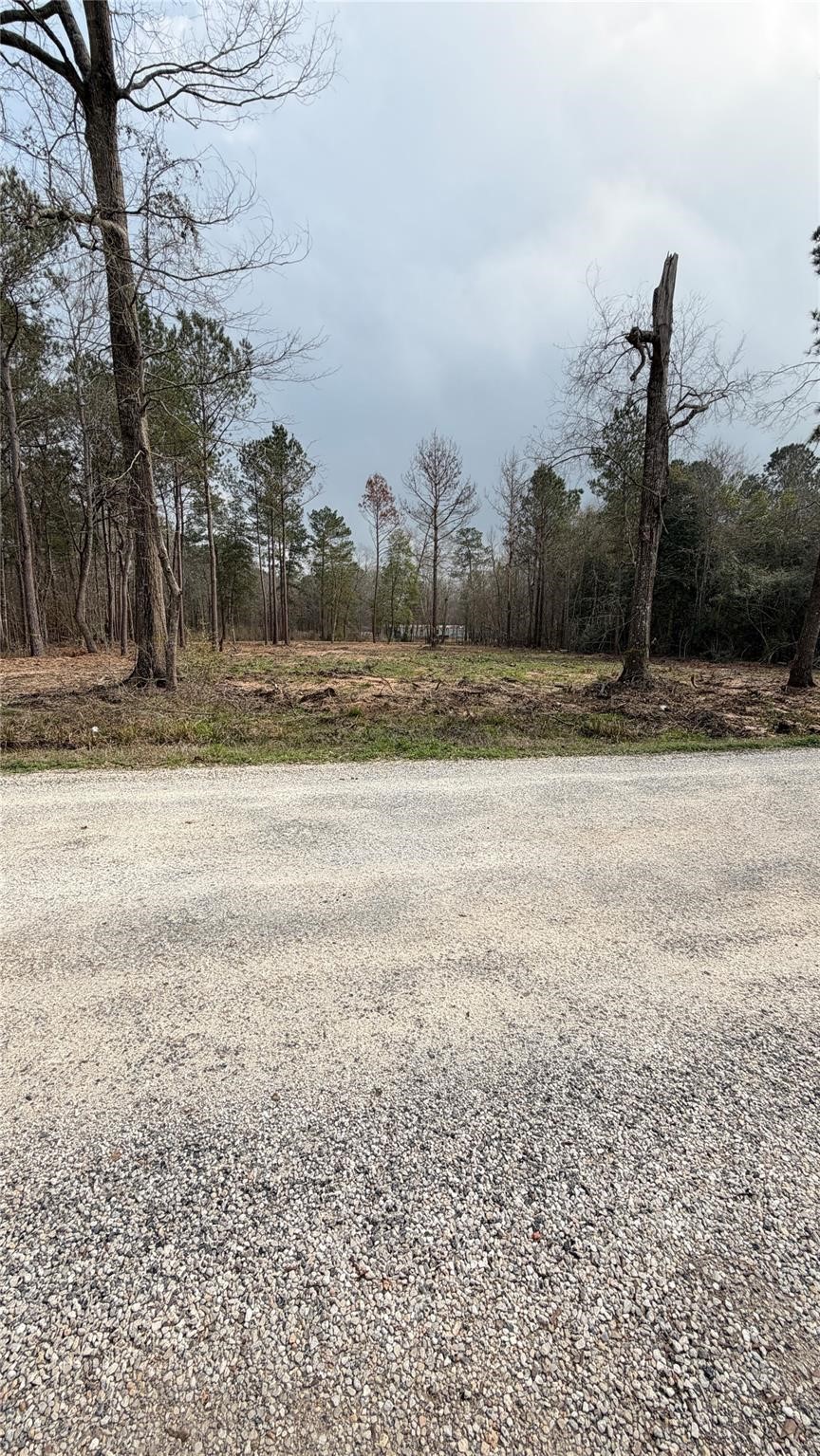0 Dogwood Trail Property Photo 1
