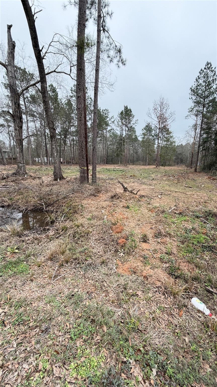 0 Dogwood Trail Property Photo 3