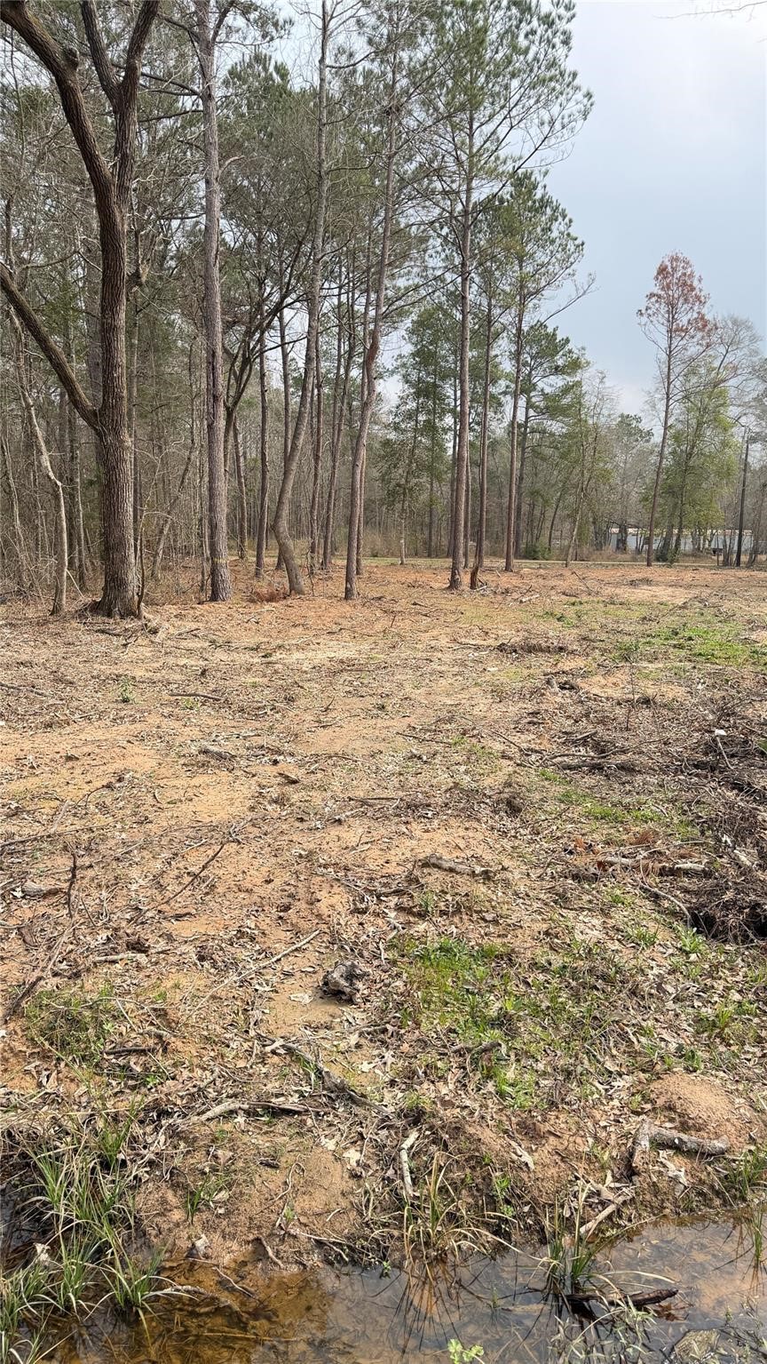 0 Dogwood Trail Property Photo 4