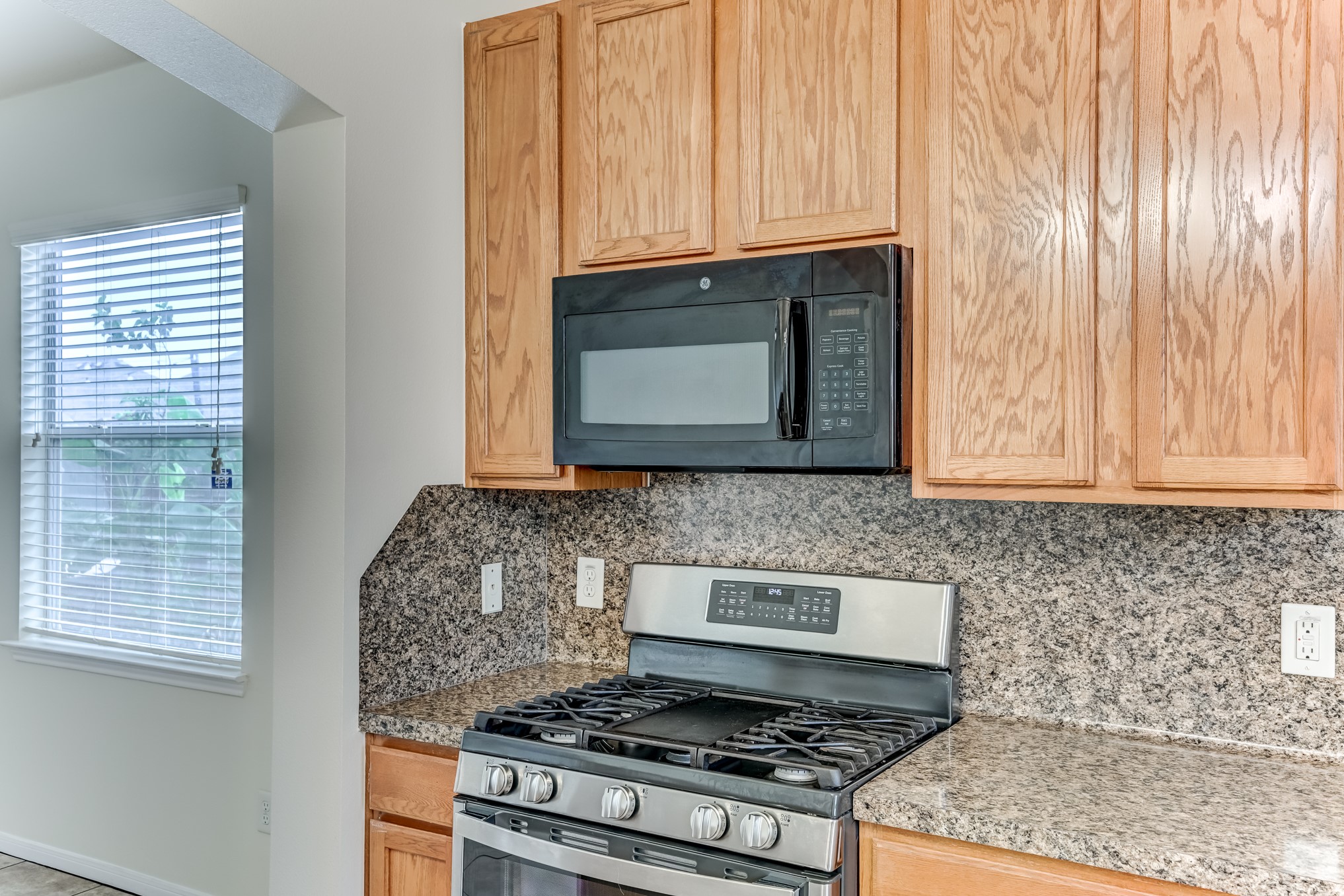 4039 Mossy Spring Lane Property Photo 12