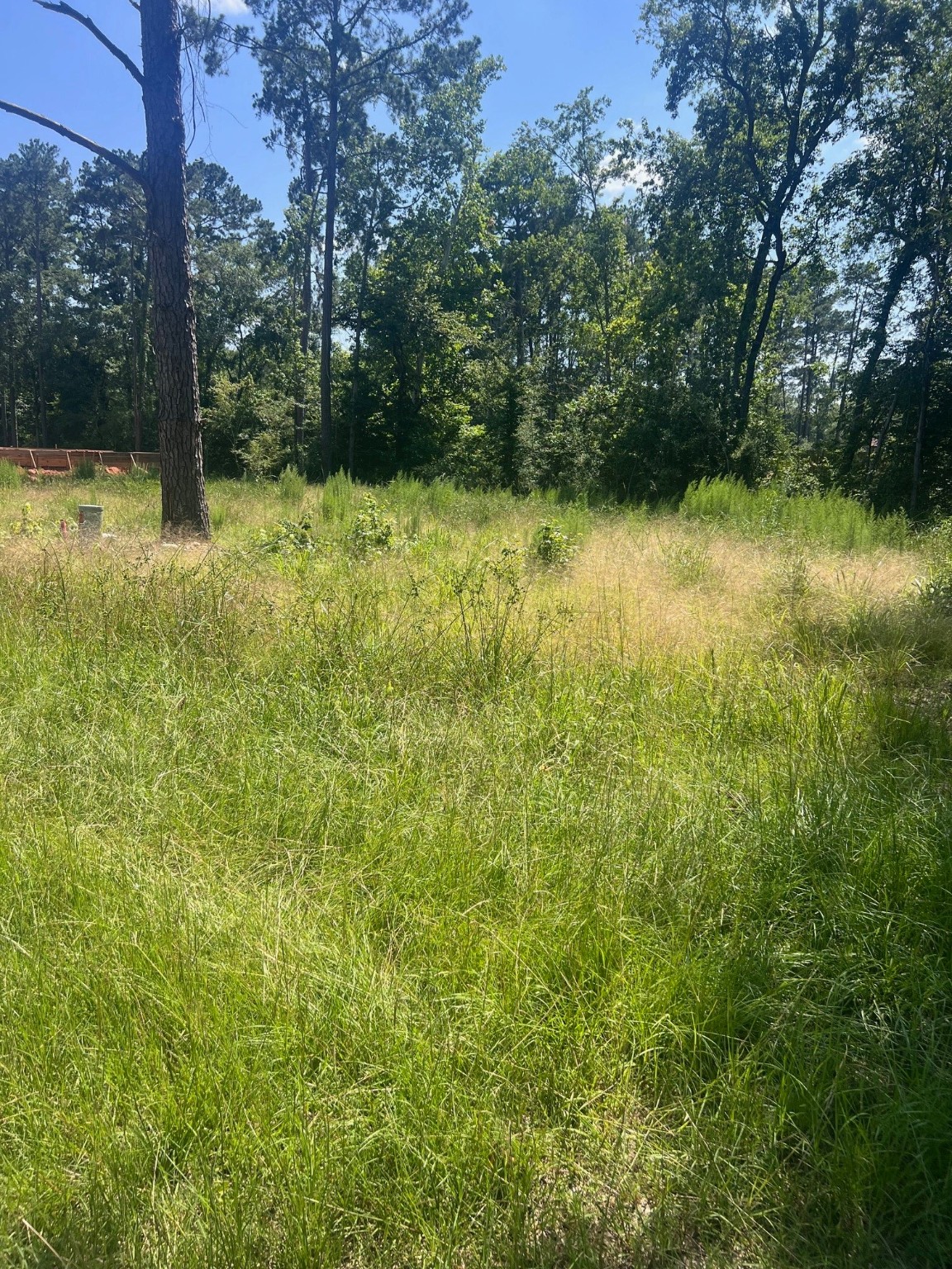 33 La Salle Park Drive Property Photo