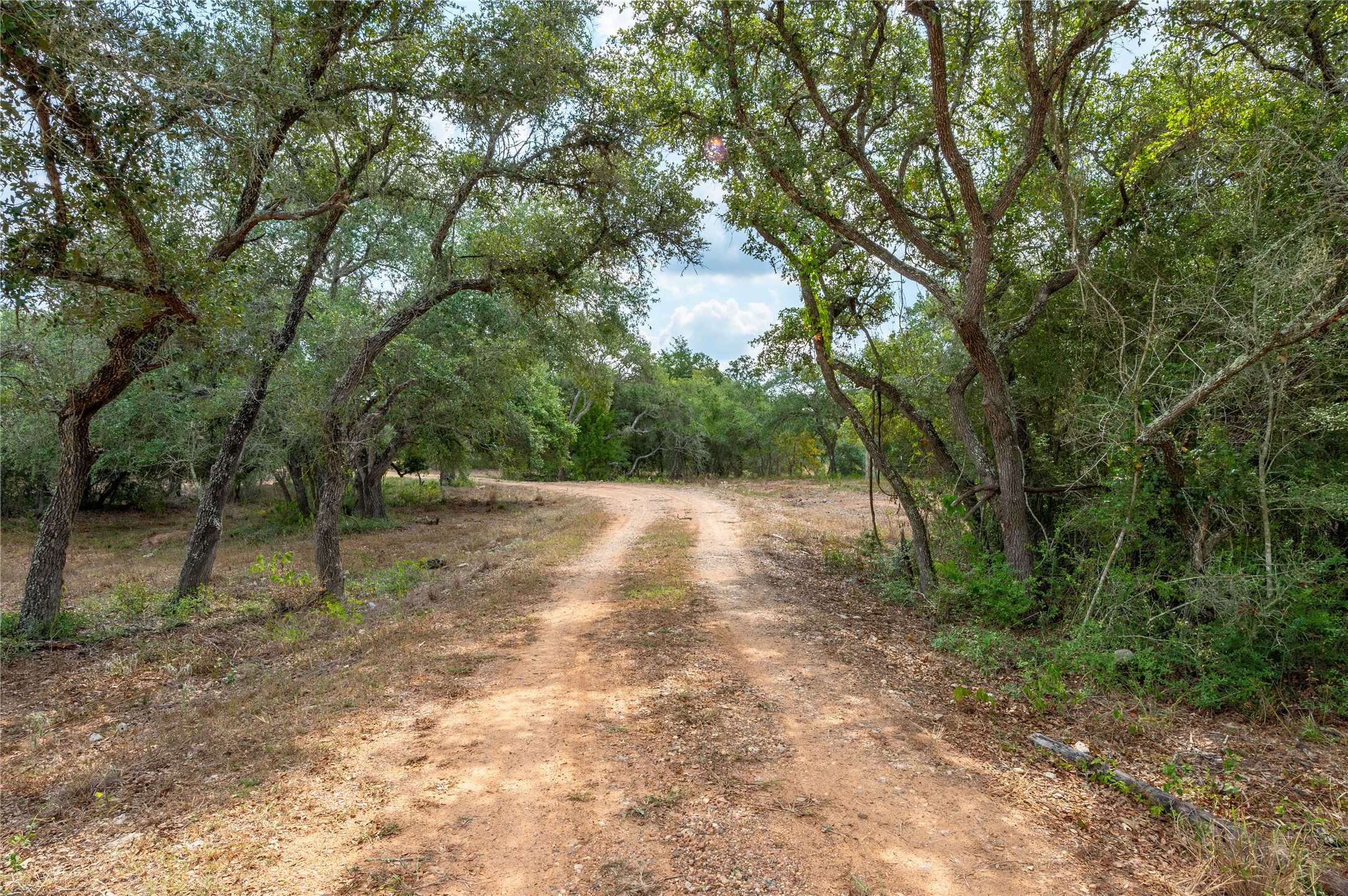 County Road 14 Black Hawk Cir Property Photo 3