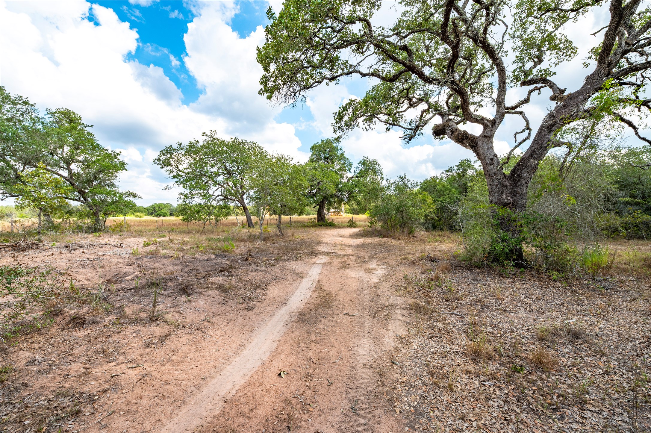 County Road 14 Black Hawk Cir Property Photo 10