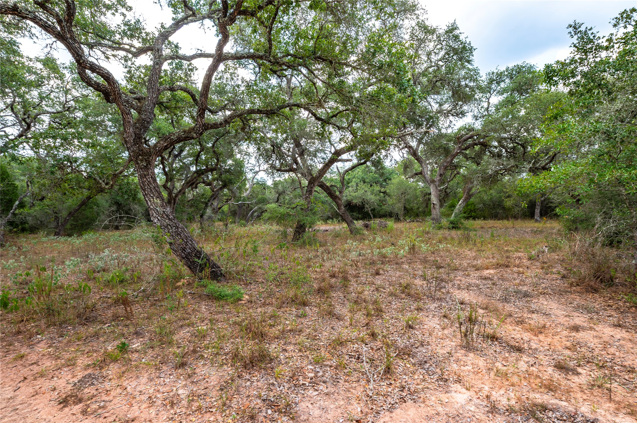 County Road 14 Black Hawk Cir Property Photo 11