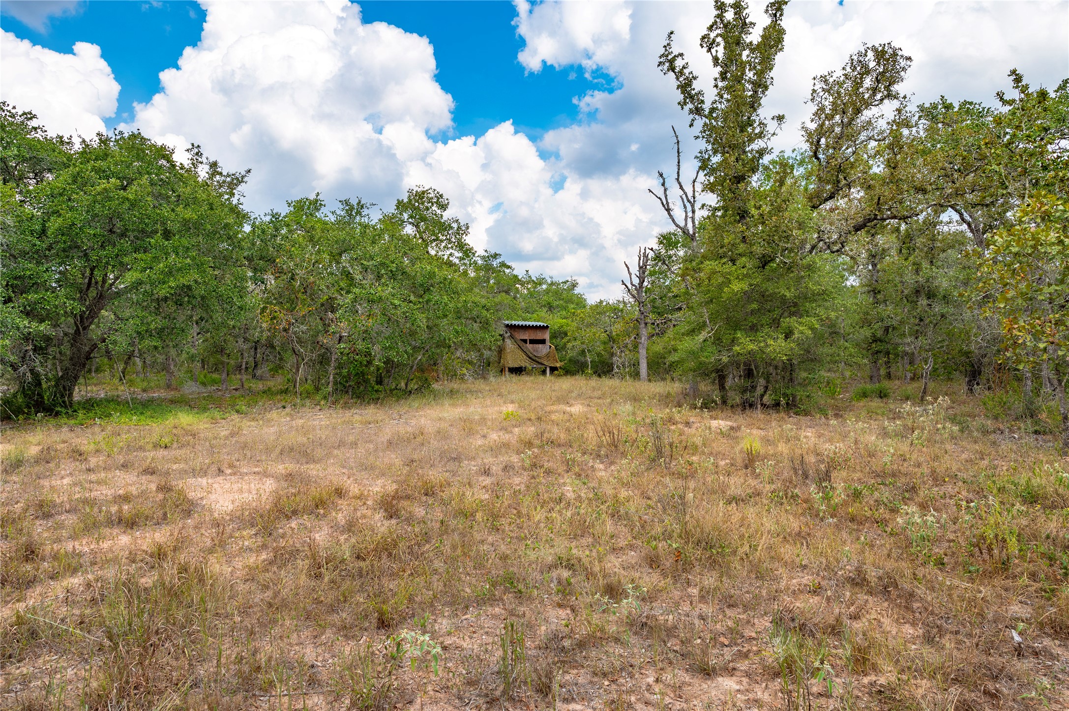 County Road 14 Black Hawk Cir Property Photo 13