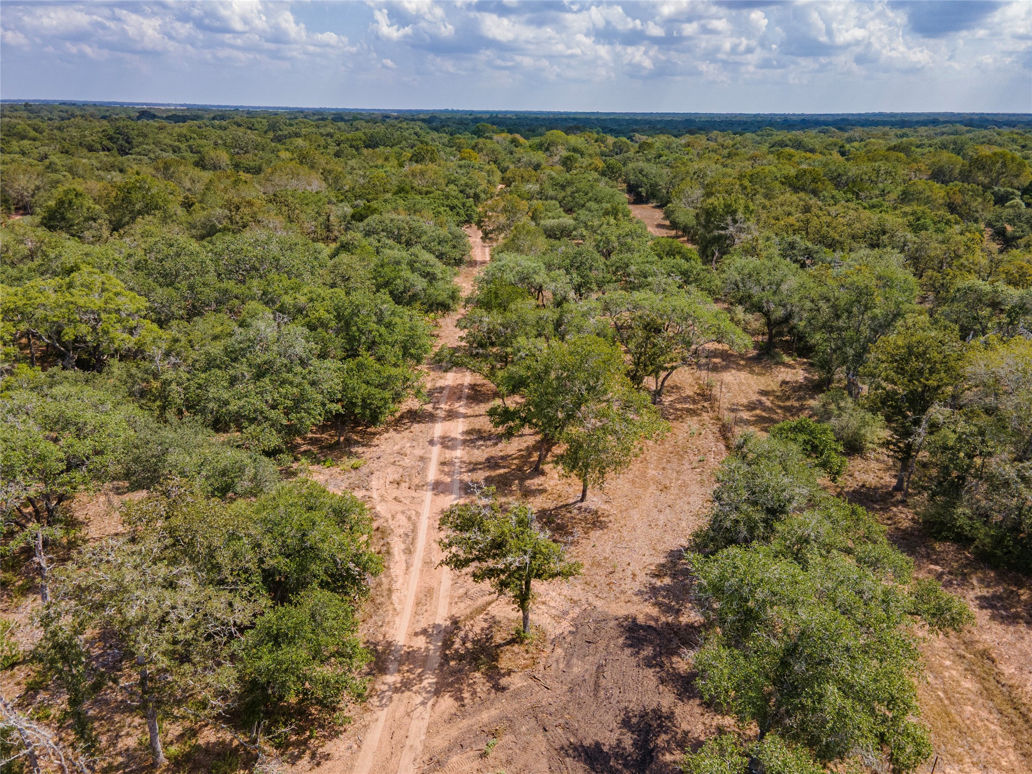 County Road 14 Black Hawk Cir Property Photo 14
