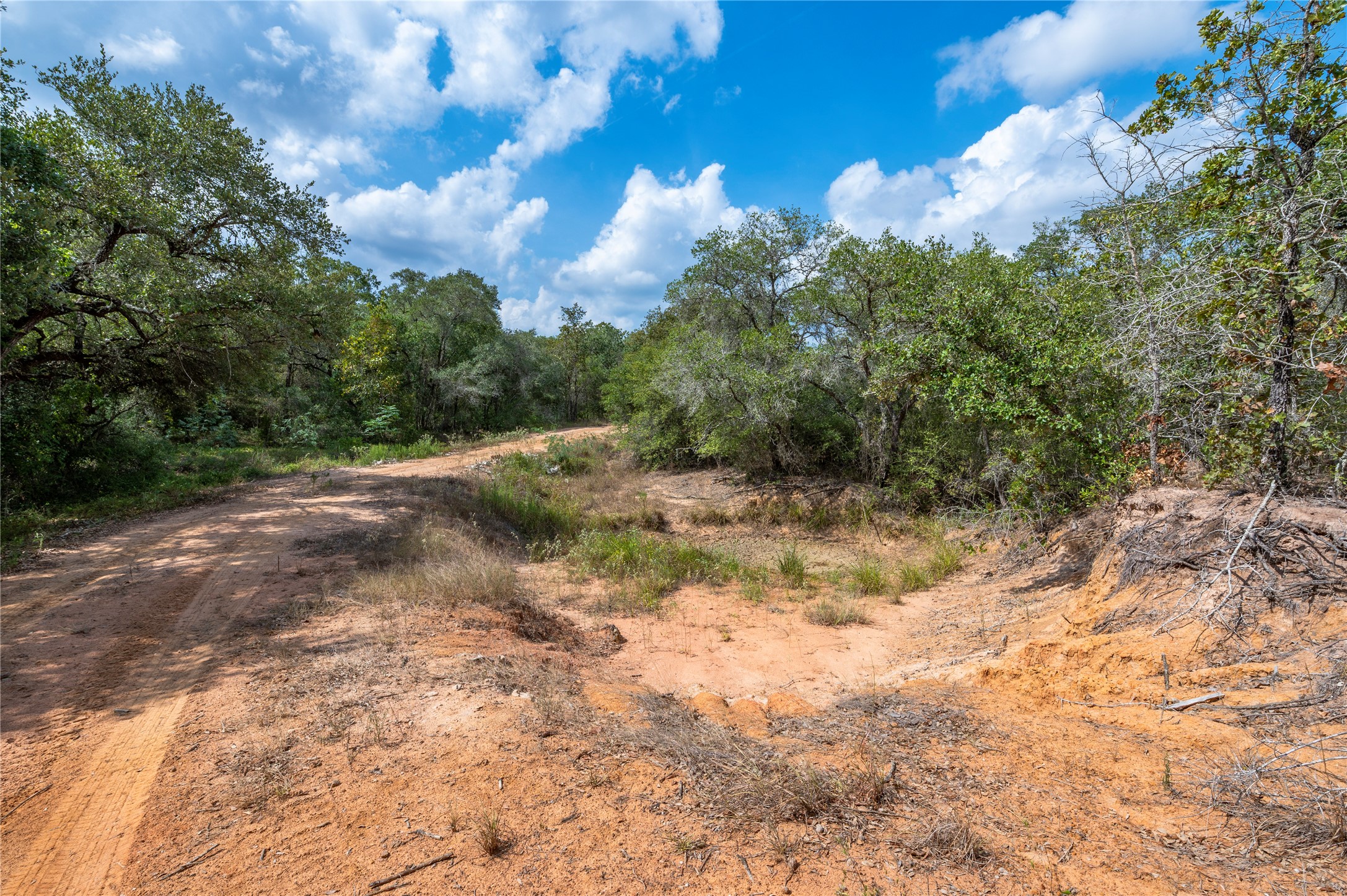County Road 14 Black Hawk Cir Property Photo 15