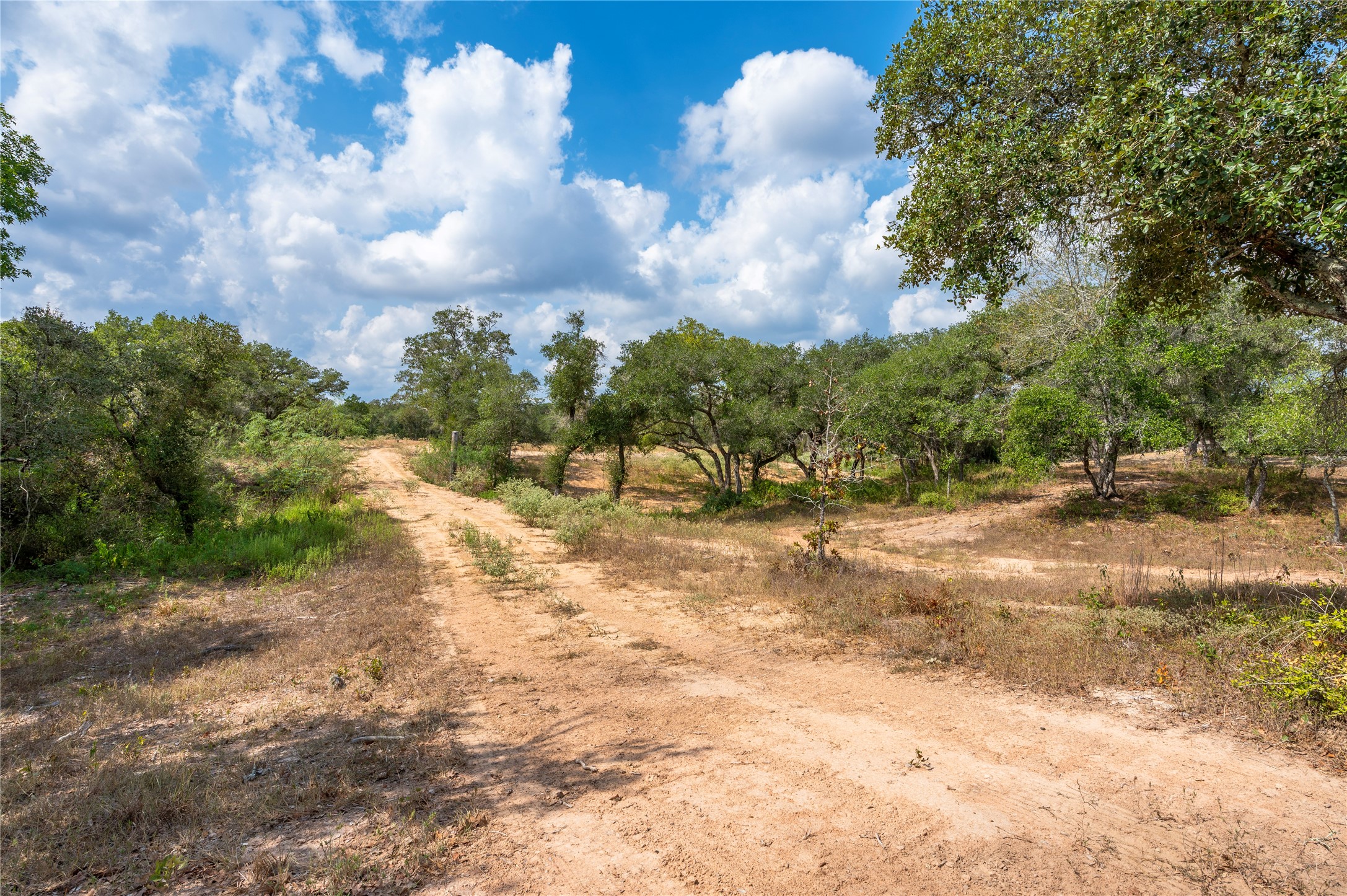 County Road 14 Black Hawk Cir Property Photo 19