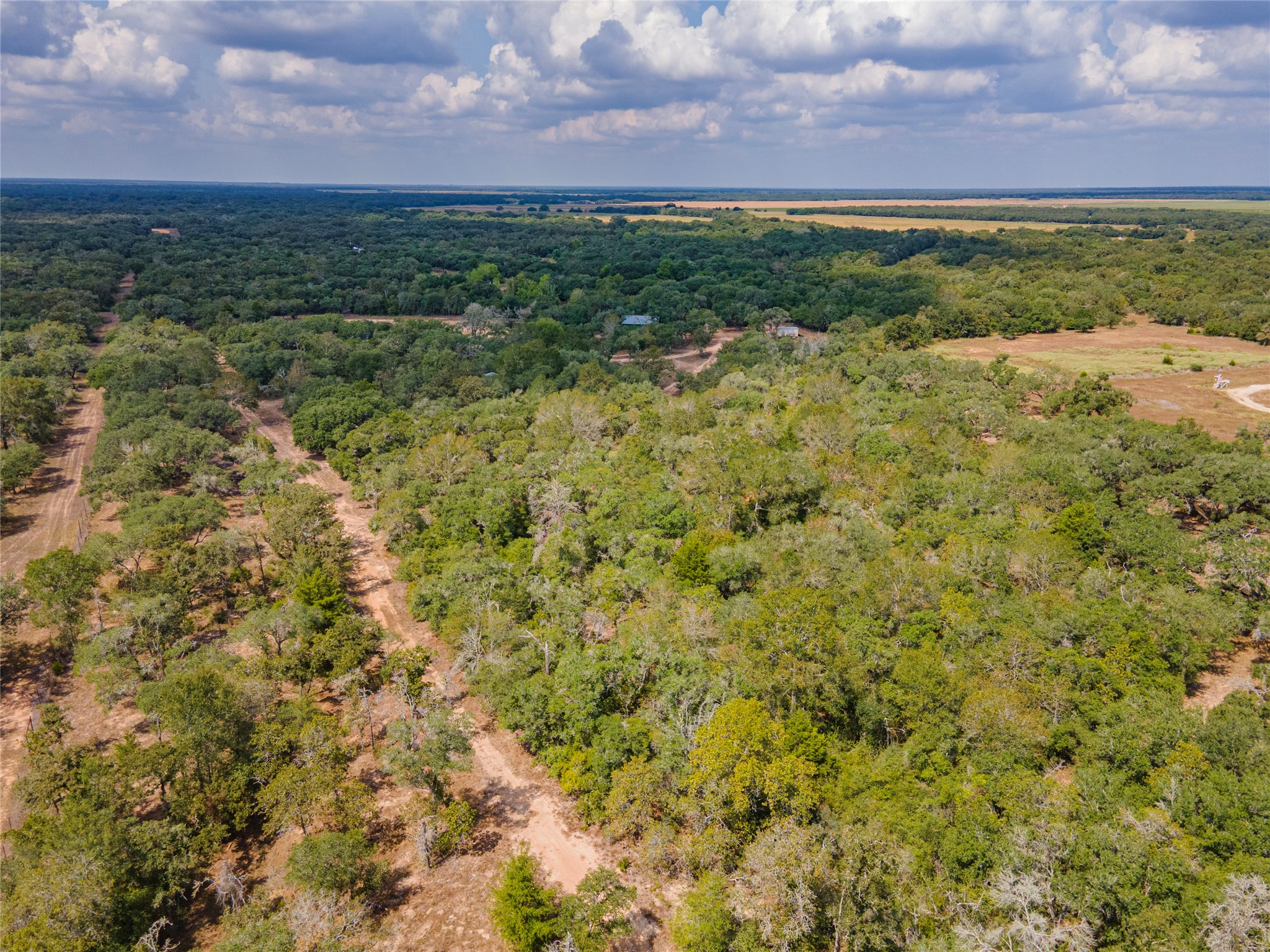County Road 14 Black Hawk Cir Property Photo 23
