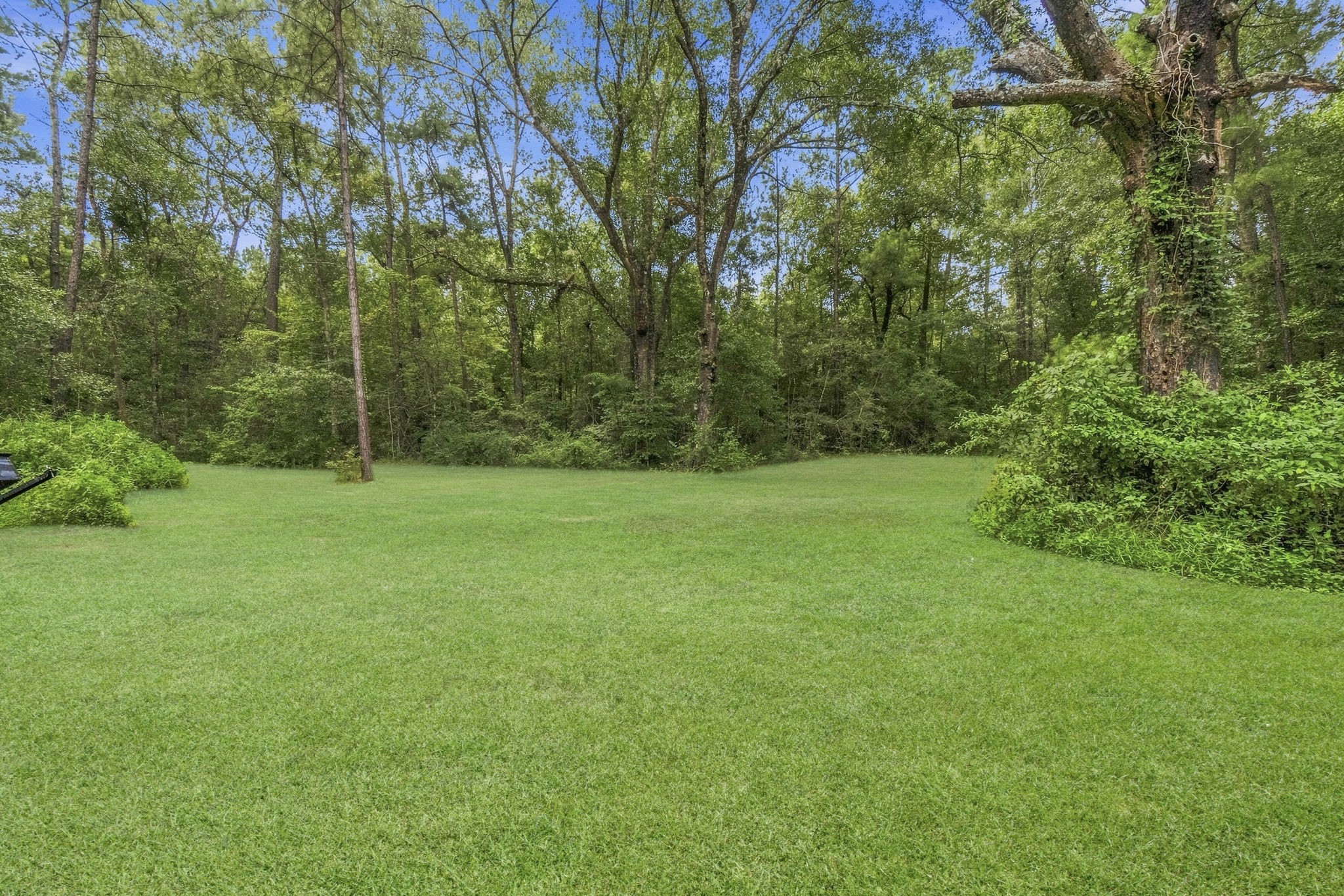 340 Tree Monkey Road Property Photo 35