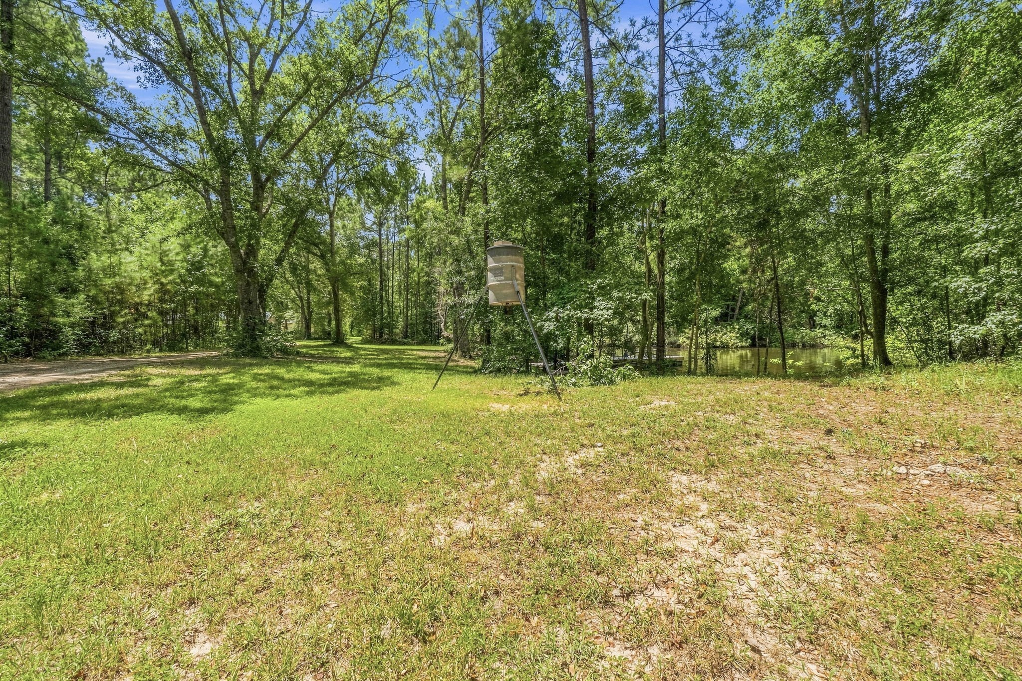 340 Tree Monkey Road Property Photo 36