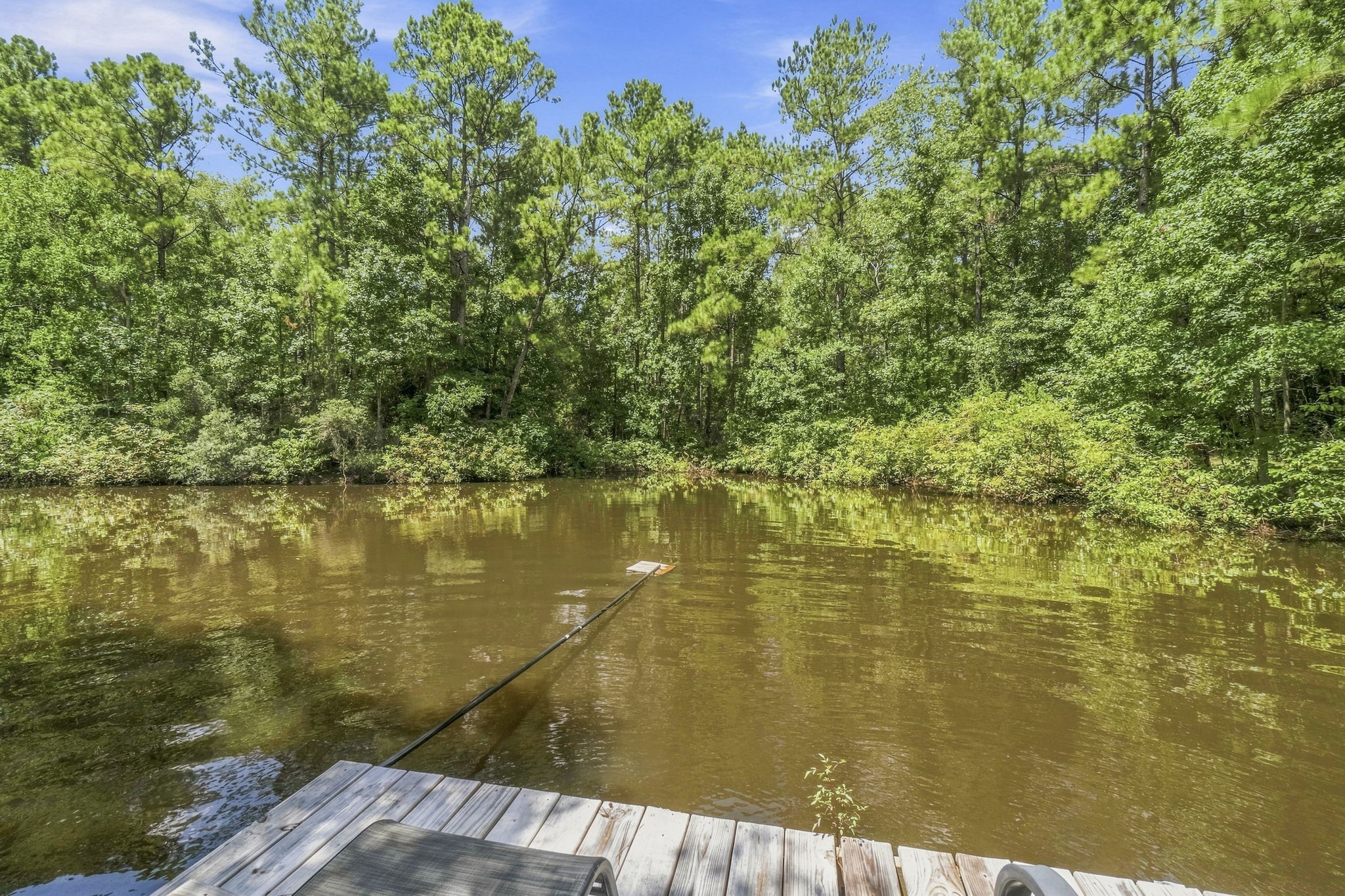 340 Tree Monkey Road Property Photo 40