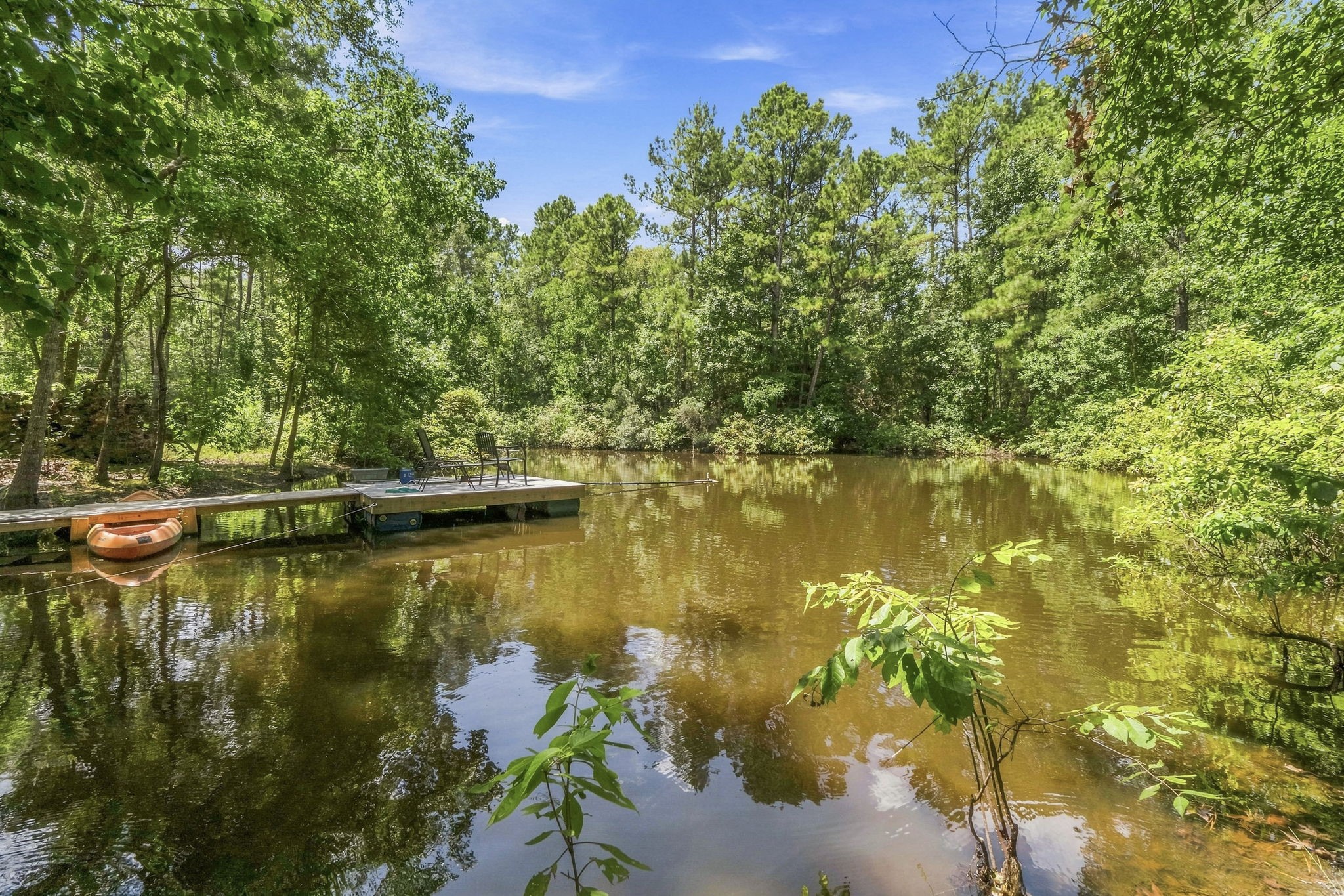 340 Tree Monkey Road Property Photo 41