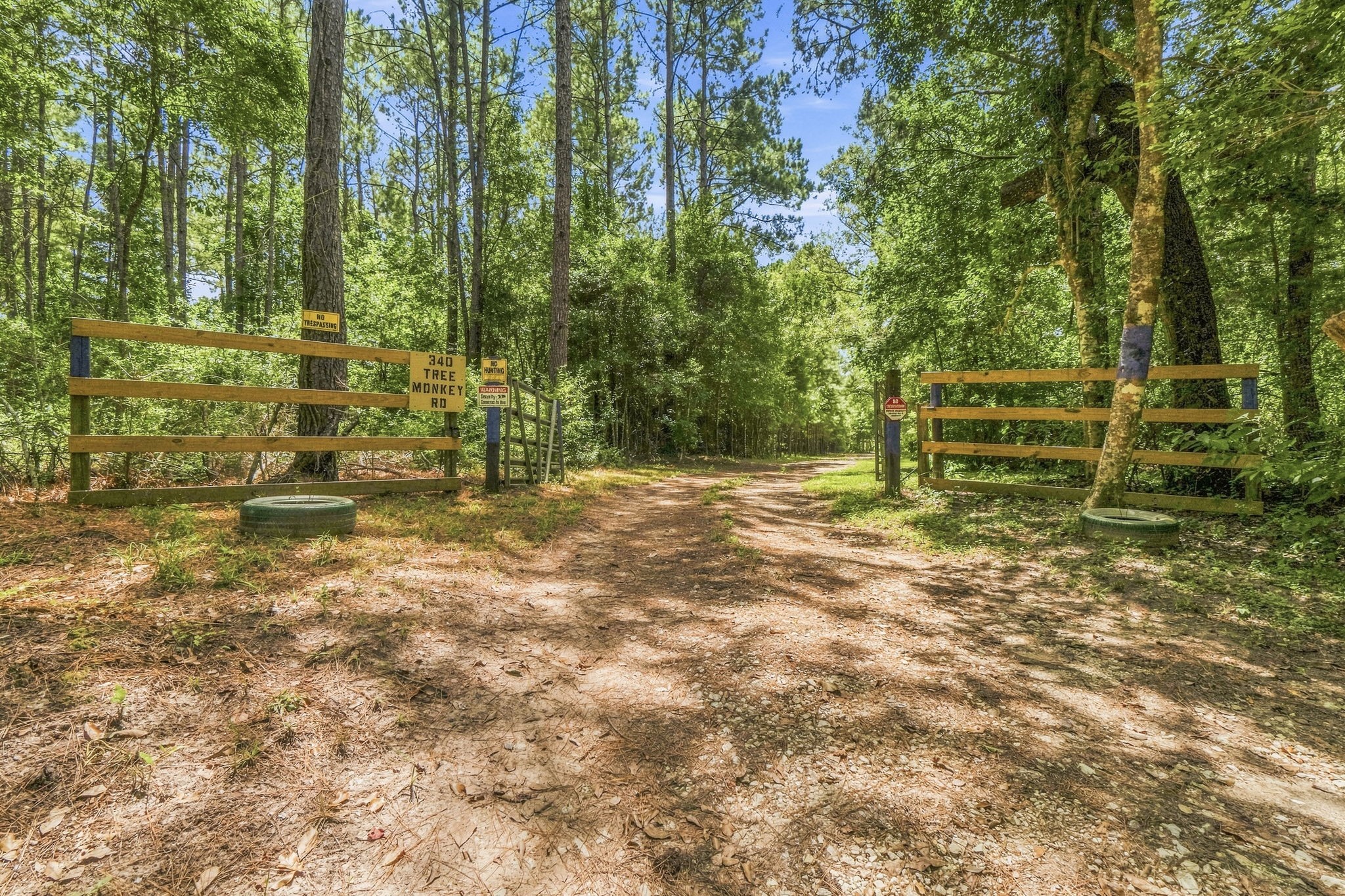 340 Tree Monkey Road Property Photo 42