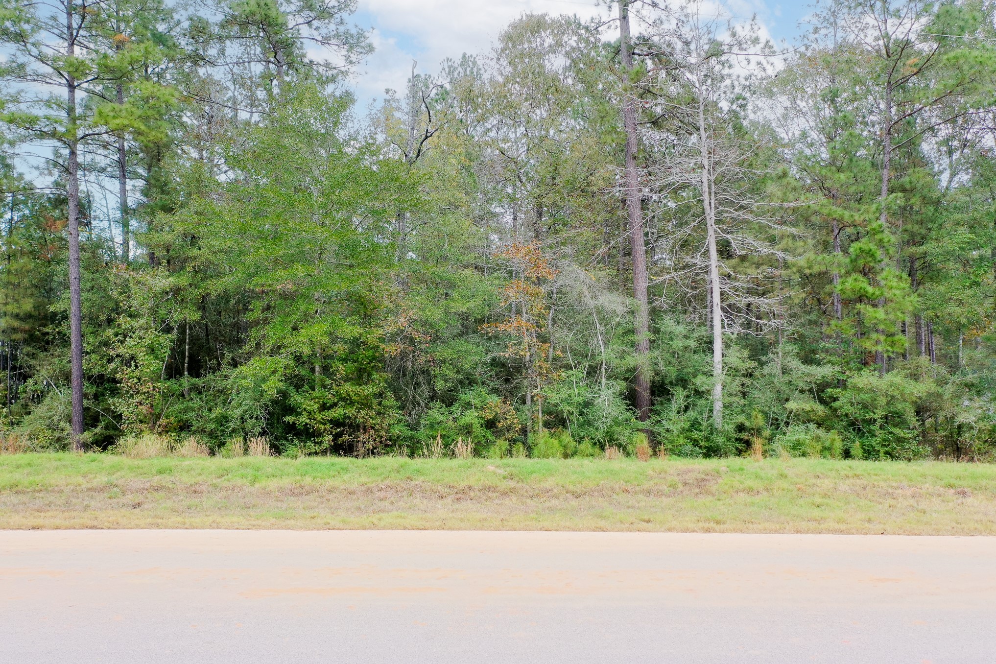 19 Windmill Road Property Photo 3