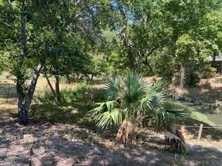 5731 Kemp Street Property Photo 6