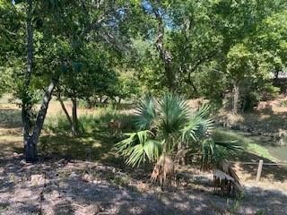 5731 Kemp Street Property Photo 7