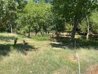 5731 Kemp Street Property Photo 11