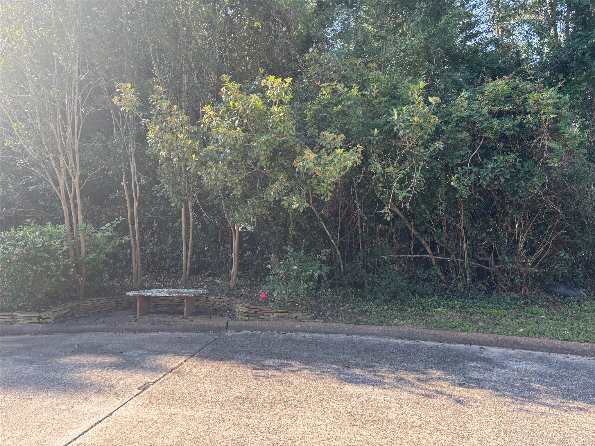 901 Longmire Rd Property Photo 5