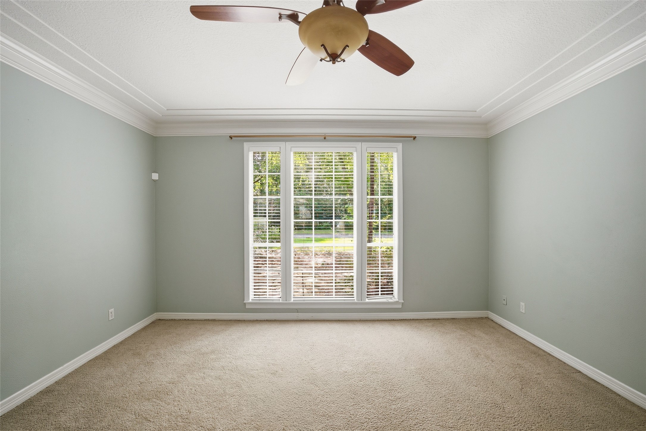 95 Rush Haven Drive Property Photo 18