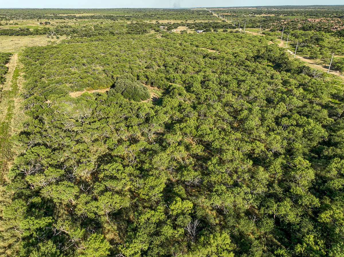 T-3 State Highway 29 Property Photo 5